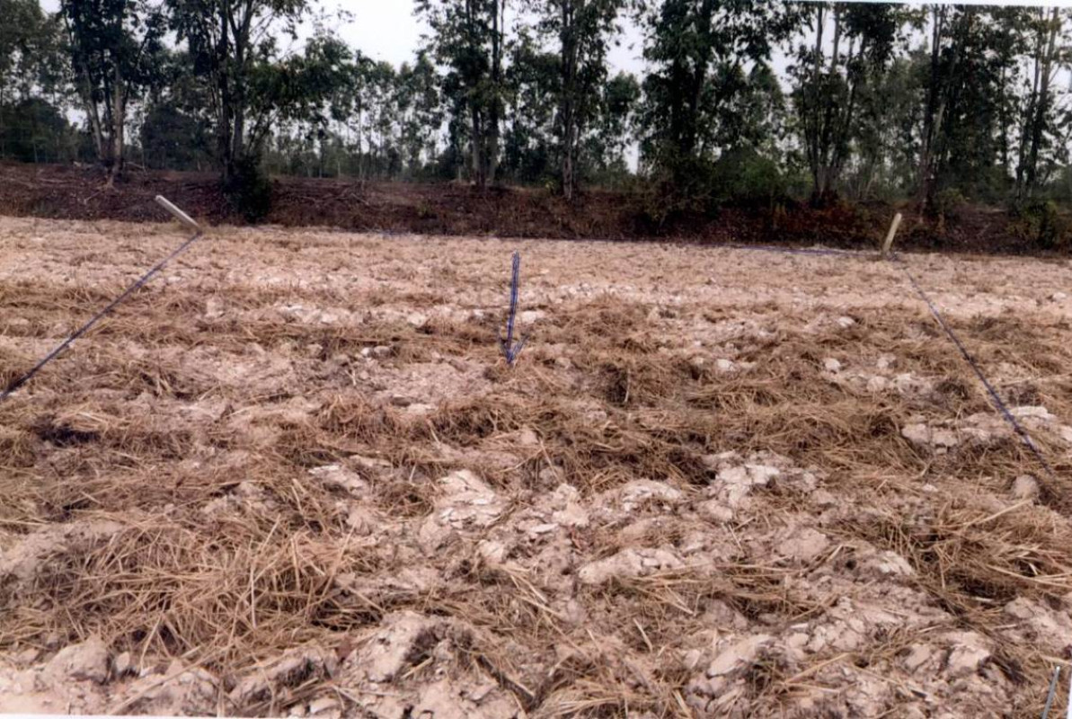 ที่ดินเปล่า อุบลราชธานี เมืองอุบลราชธานี ไร่น้อย 47250