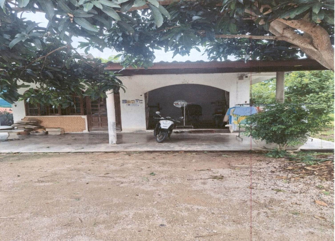 บ้านเดี่ยว สุราษฎร์ธานี ดอนสัก ดอนสัก 842688