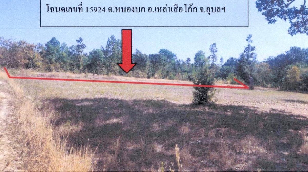 Residential land/lot Ubon Ratchathani Lao Suea Kok Nong Bok 60000