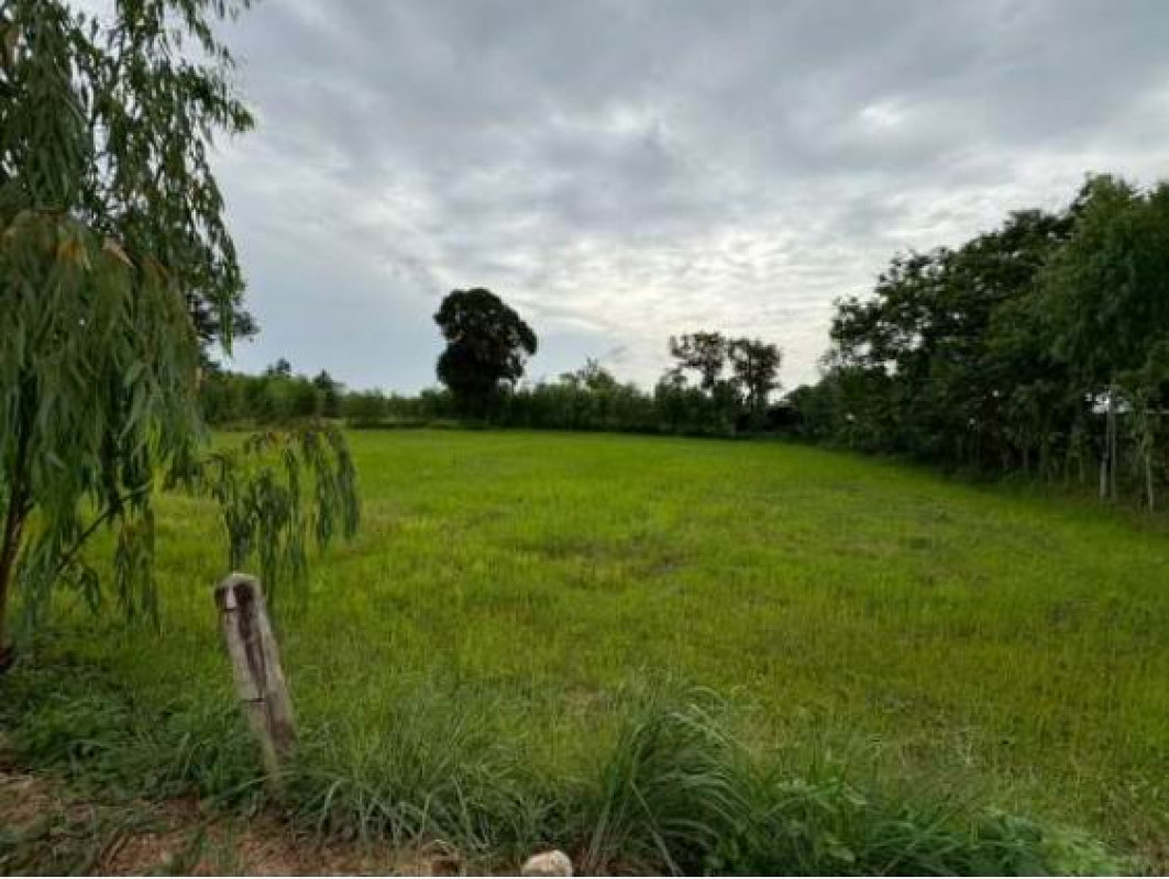 ที่ดินเปล่า อุบลราชธานี ม่วงสามสิบ หนองเหล่า 1900600