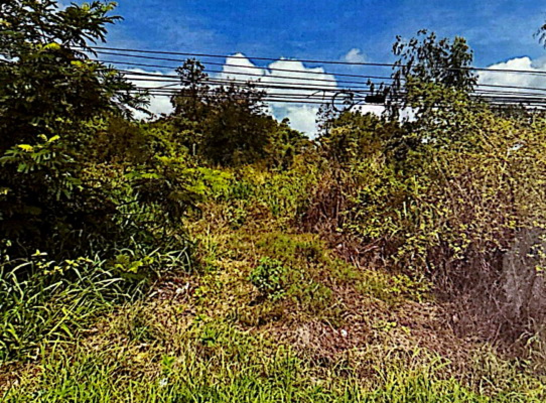 ที่ดินเปล่า อุบลราชธานี พิบูลมังสาหาร กุดชมภู 2548000