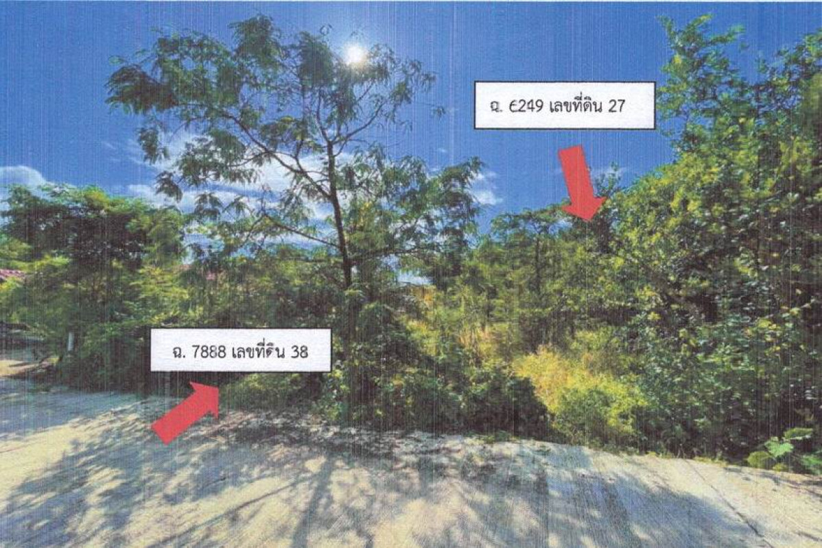 ที่ดินเปล่า จันทบุรี โป่งน้ำร้อน หนองตาคง 35250