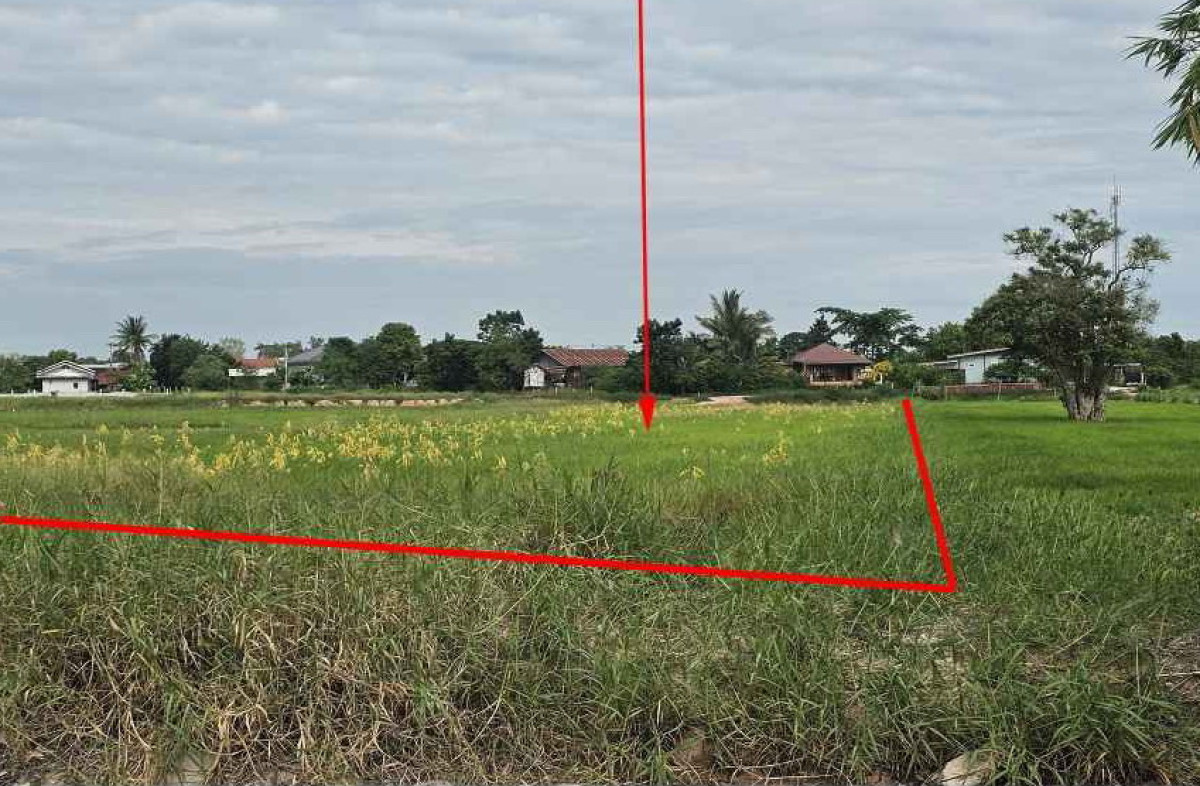 ที่ดินเปล่า นครราชสีมา ด่านขุนทด หนองบัวตะเกียด 135712