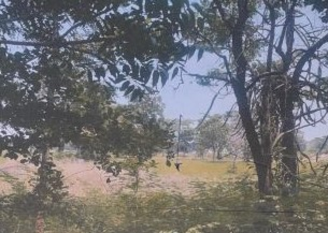 ที่ดินเปล่า นครราชสีมา พระทองคำ มาบกราด 153600