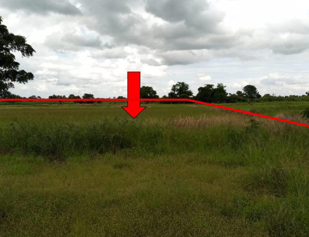 ที่ดินเปล่า นครราชสีมา สีคิ้ว หนองบัวน้อย 303310