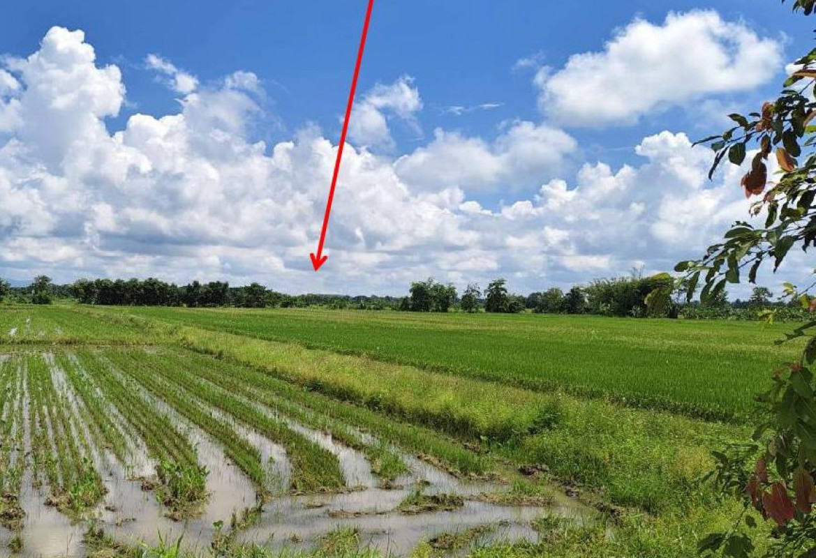 ที่ดินเปล่า เชียงราย แม่สาย ห้วยไคร้ 1389000