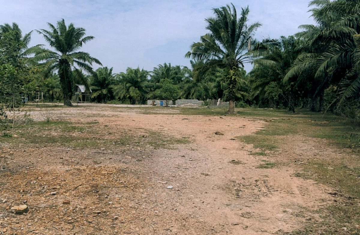 ที่ดินเปล่า สงขลา เทพา เกาะสะบ้า 3731540