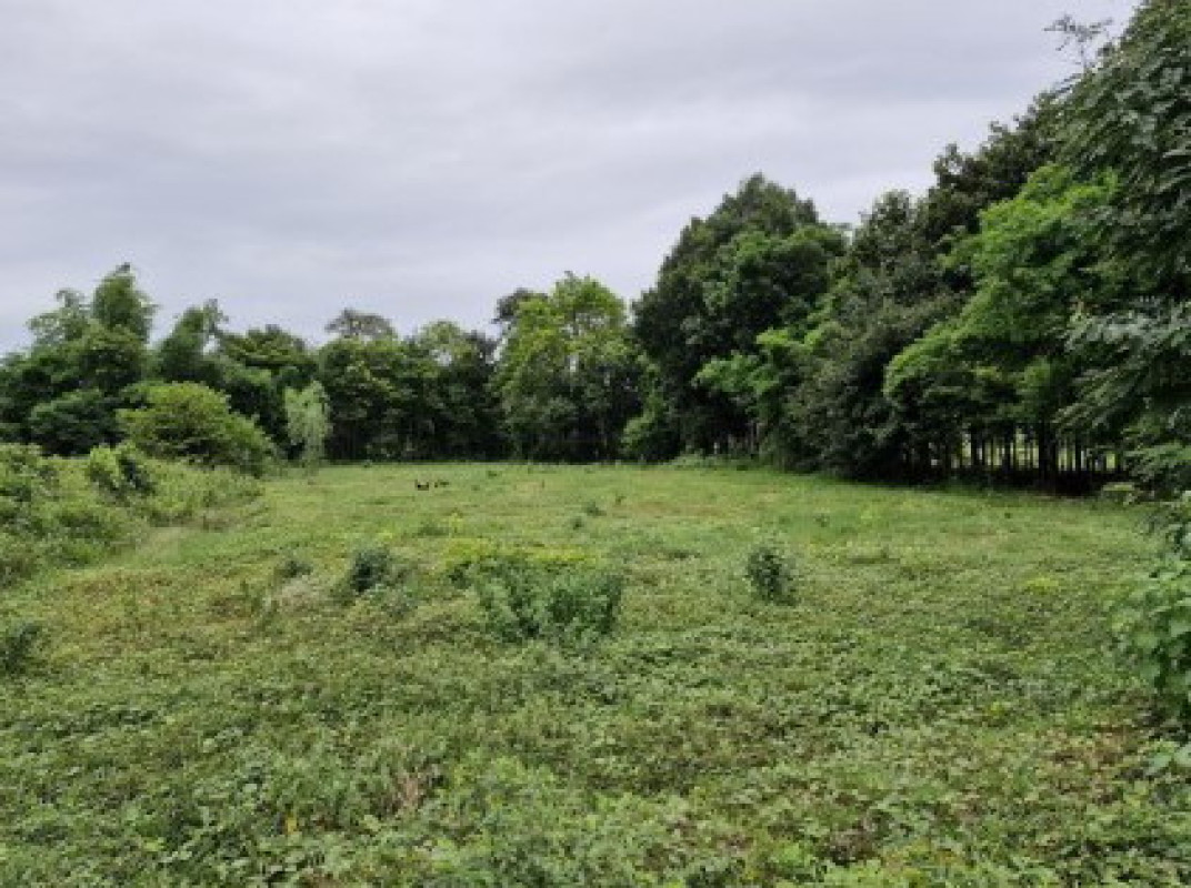 ที่ดินเปล่า กาฬสินธุ์ ยางตลาด คลองขาม 215000