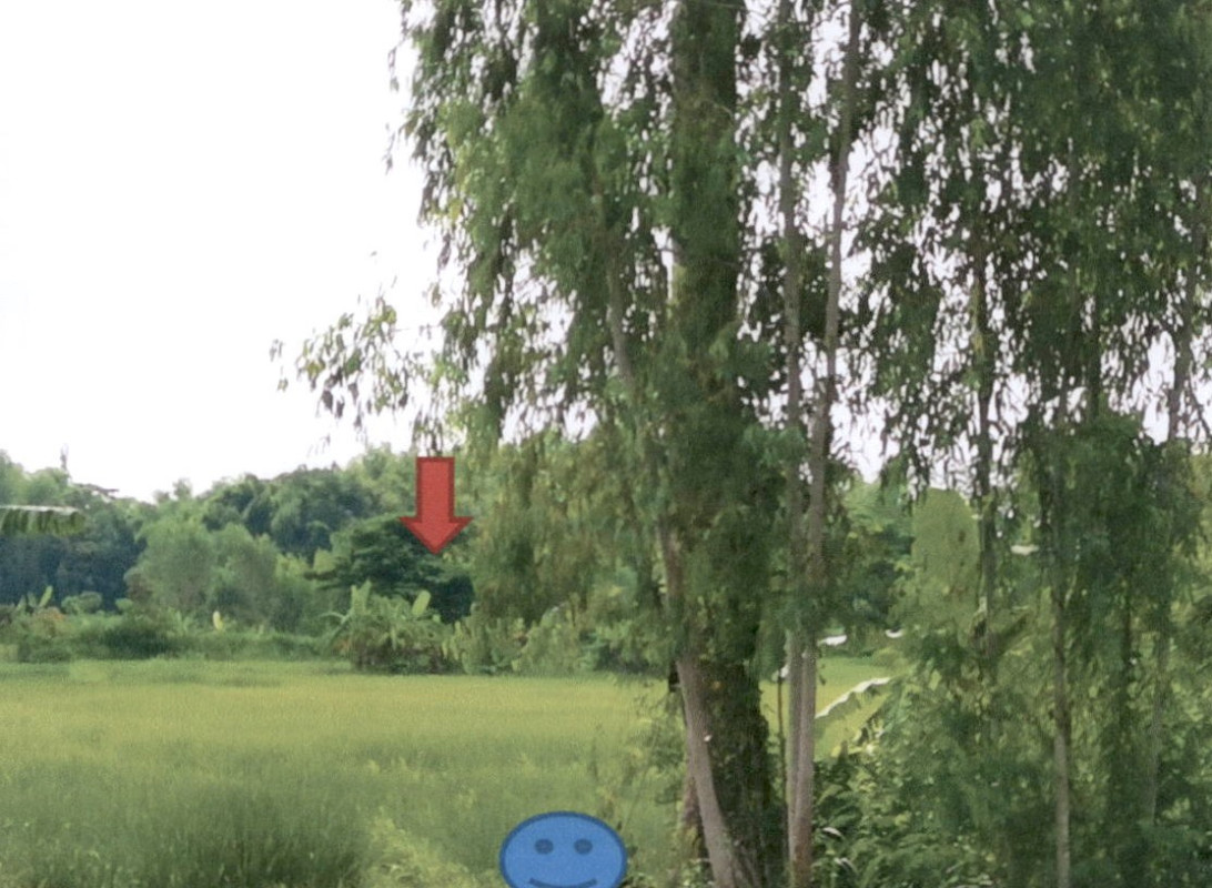 ที่ดินเปล่า กาฬสินธุ์ สหัสขันธ์ โนนศิลา 879300