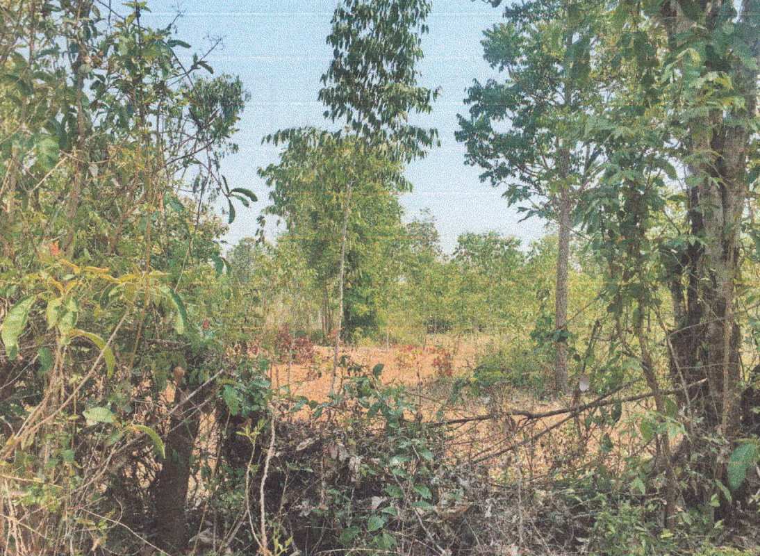 ที่ดินเปล่า ลำปาง เกาะคา ศาลา 932000