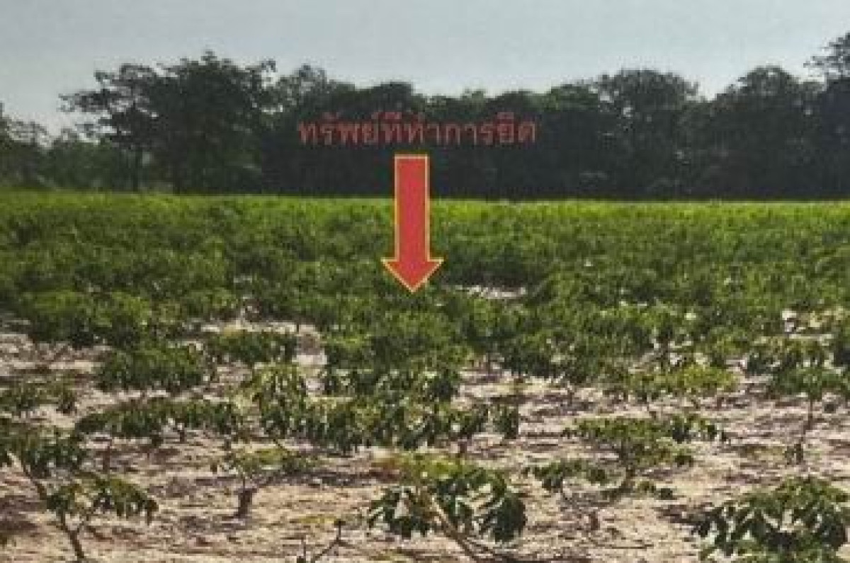 ที่ดินเปล่า กาฬสินธุ์ นามน สงเปลือย 169500