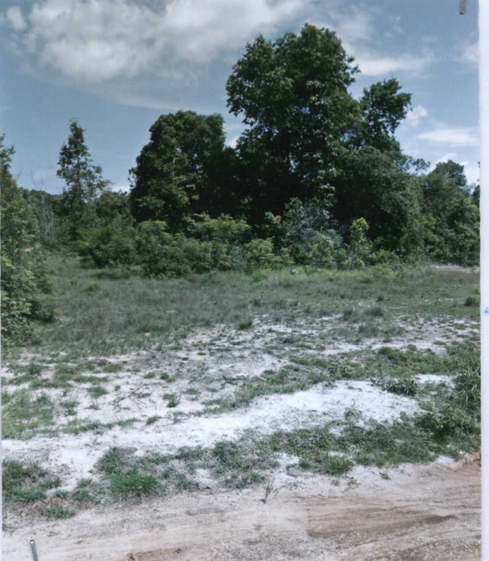 ที่ดินเปล่า อุบลราชธานี เหล่าเสือโก้ก เหล่าเสือโก้ก 888962