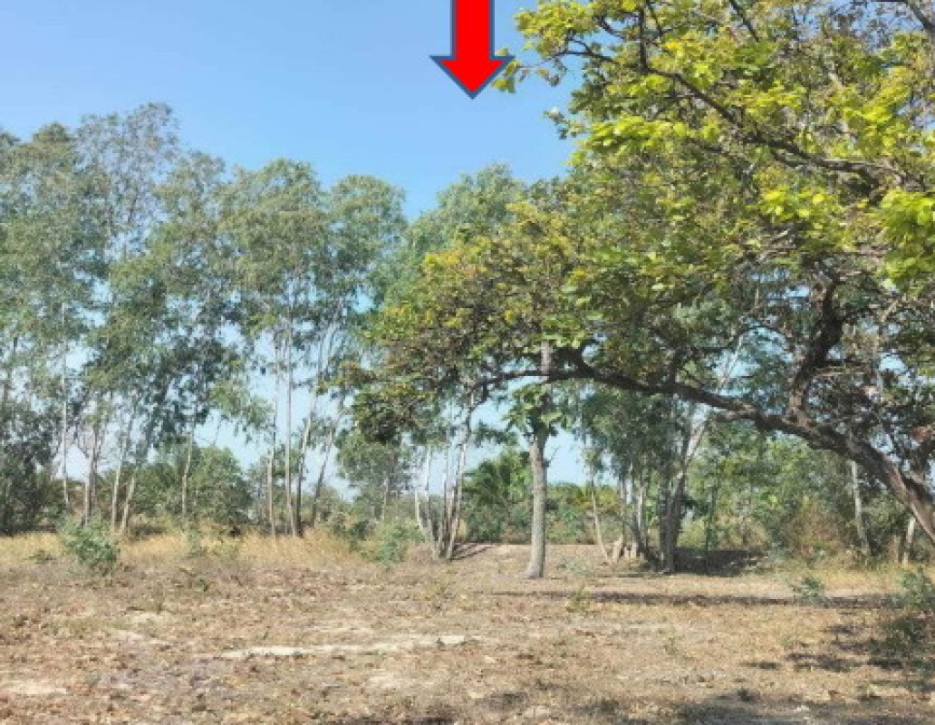 ที่ดินเปล่า อุบลราชธานี เดชอุดม เมืองเดช 16455