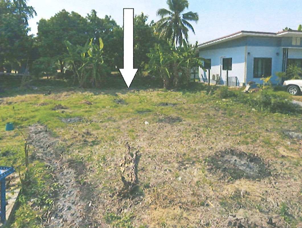 ที่ดินเปล่า นครราชสีมา สีคิ้ว ลาดบัวขาว 49000