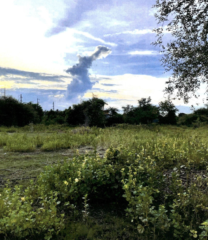 ที่ดินเปล่า ลพบุรี โคกสำโรง วังขอนขว้าง 16000