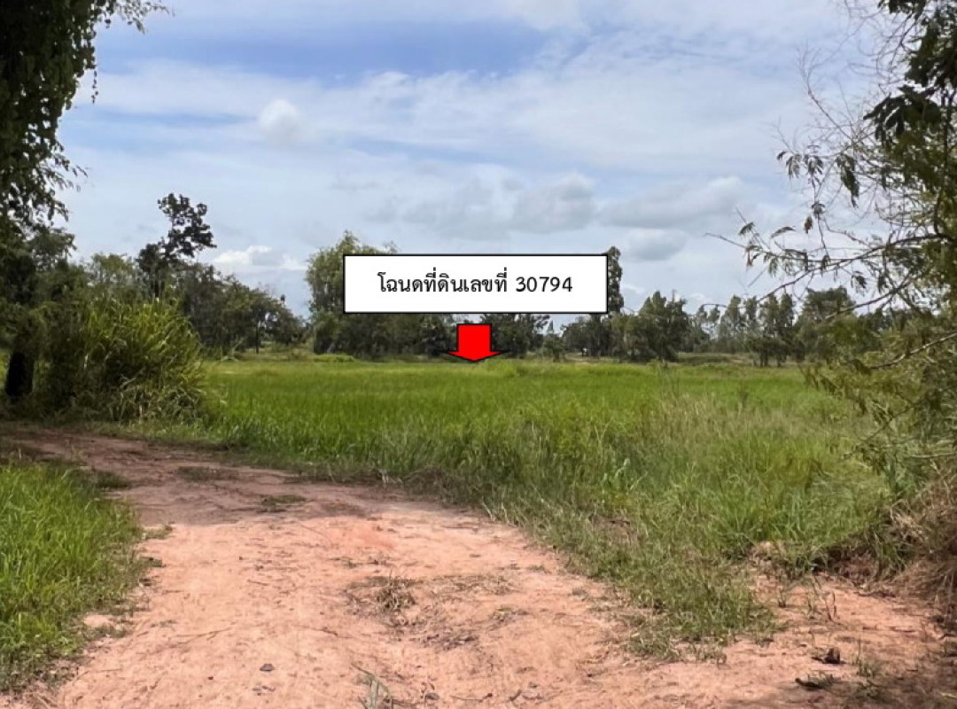 ที่ดินเปล่า นครราชสีมา ด่านขุนทด พันชนะ 829840