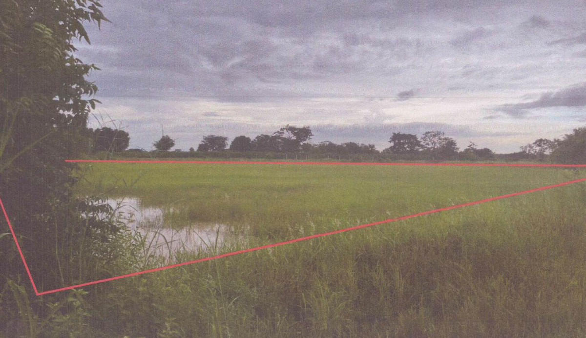 ที่ดินเปล่า ชัยภูมิ บ้านเขว้า ตลาดแร้ง 251472