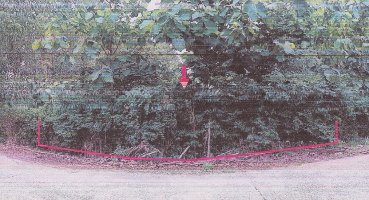 ที่ดินเปล่า ชลบุรี พนัสนิคม นาเริก 90720