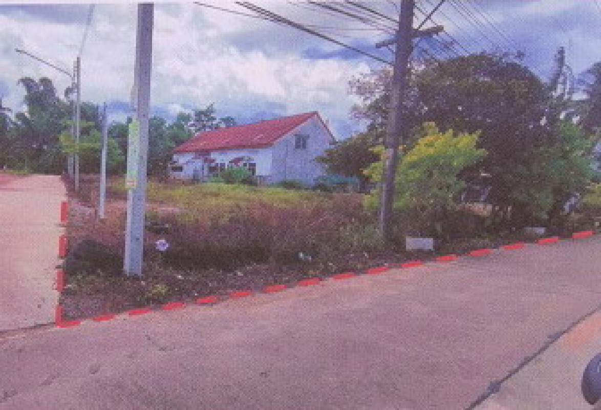 ที่ดินเปล่า ชุมพร เมืองชุมพร บางหมาก 2246000