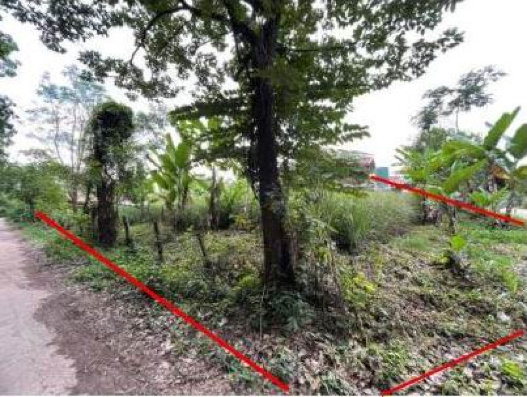 ที่ดินเปล่า อุบลราชธานี บุณฑริก บัวงาม 219700