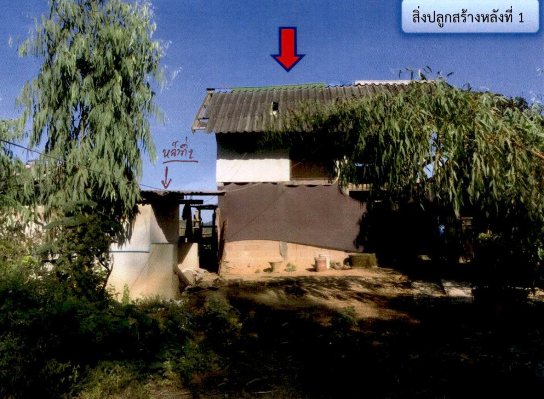 บ้านเดี่ยว ลำปาง แม่ทะ สันดอนแก้ว 396948