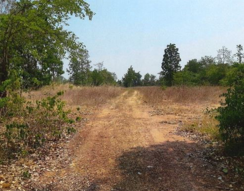 ที่ดินเปล่า ขอนแก่น เมืองขอนแก่น บ้านค้อ 531400