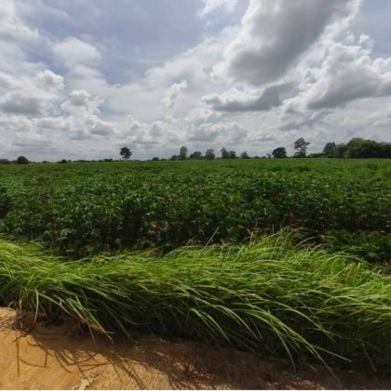 ที่ดินเปล่า กาฬสินธุ์ ห้วยเม็ก ห้วยเม็ก 554400