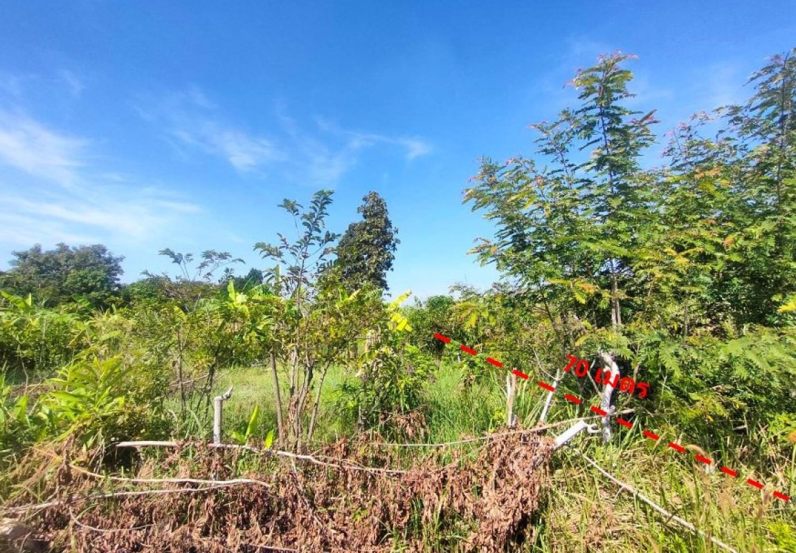 ที่ดินเปล่า ขอนแก่น บ้านฝาง หนองบัว 271395