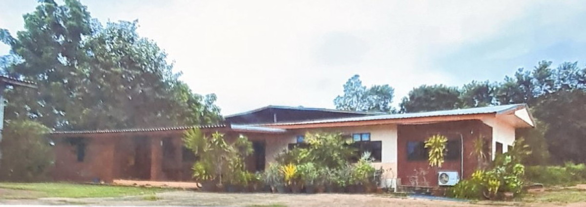 บ้านเดี่ยว อุบลราชธานี น้ำยืน โดมประดิษฐ์ 13404008