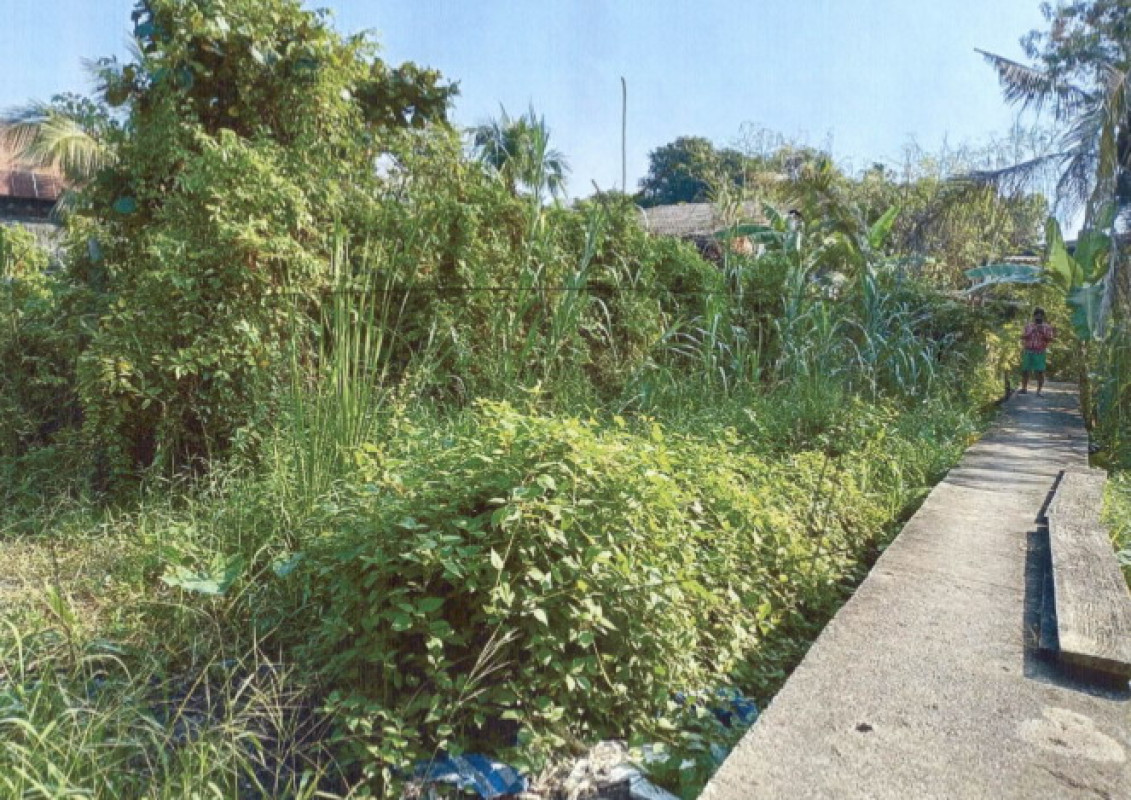 ที่ดินเปล่า กรุงเทพมหานคร ตลิ่งชัน บางระมาด 619500