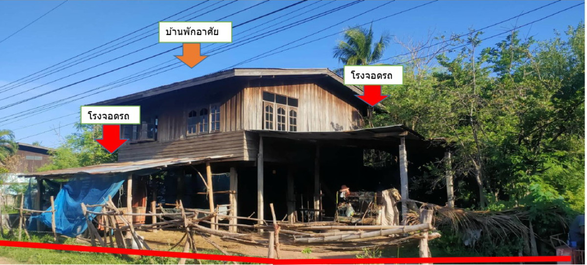 บ้านเดี่ยว นครราชสีมา บัวใหญ่ หนองแจ้งใหญ่ 166304