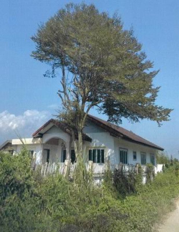 บ้านเดี่ยว เชียงใหม่ ฝาง เวียง 1504440