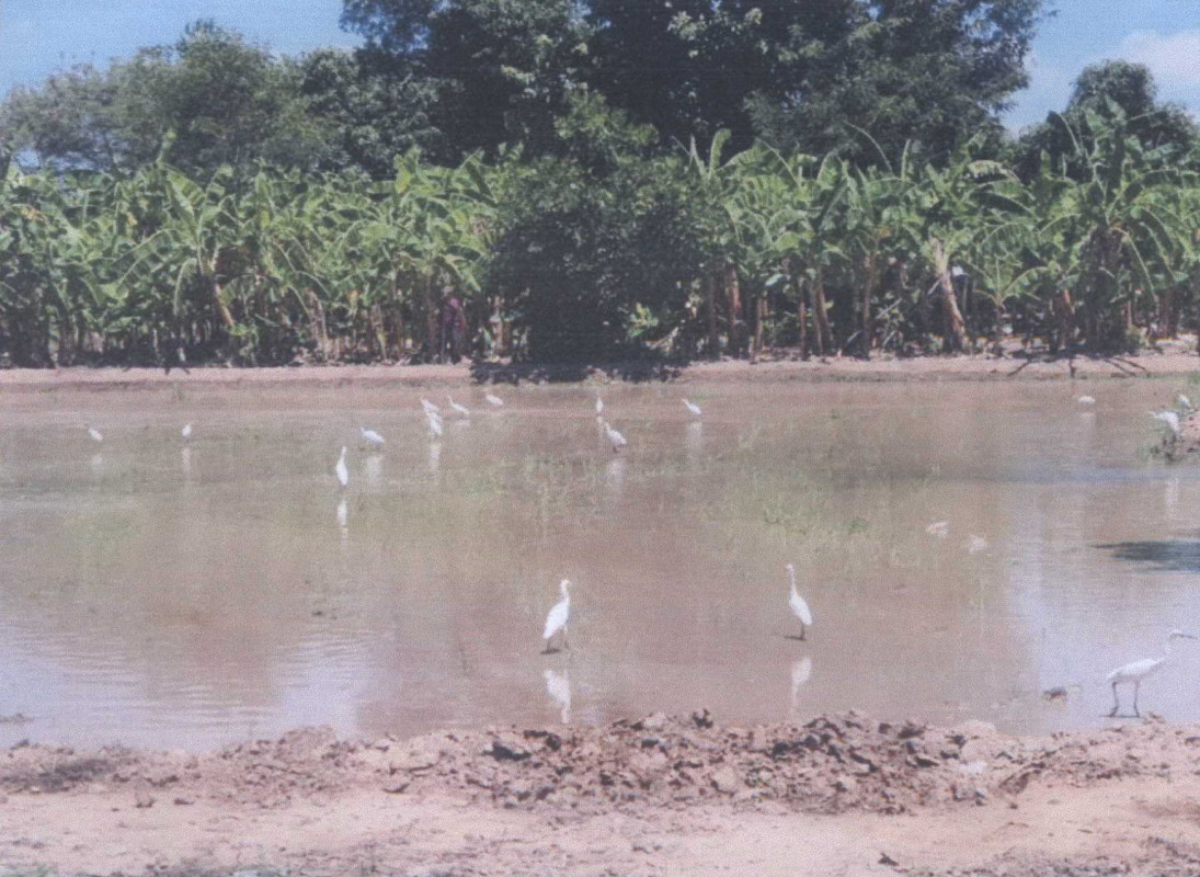 ที่ดินเปล่า ลพบุรี ท่าวุ้ง บางคู้ 682000