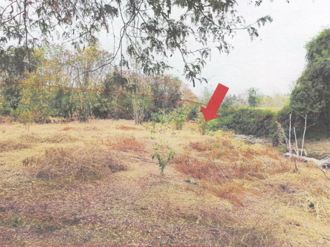 ที่ดินเปล่า นครราชสีมา โนนสูง ธารปราสาท 45200