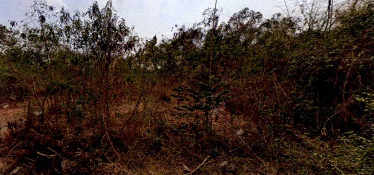 ที่ดินเปล่า พระนครศรีอยุธยา ภาชี หนองน้ำใส 90000