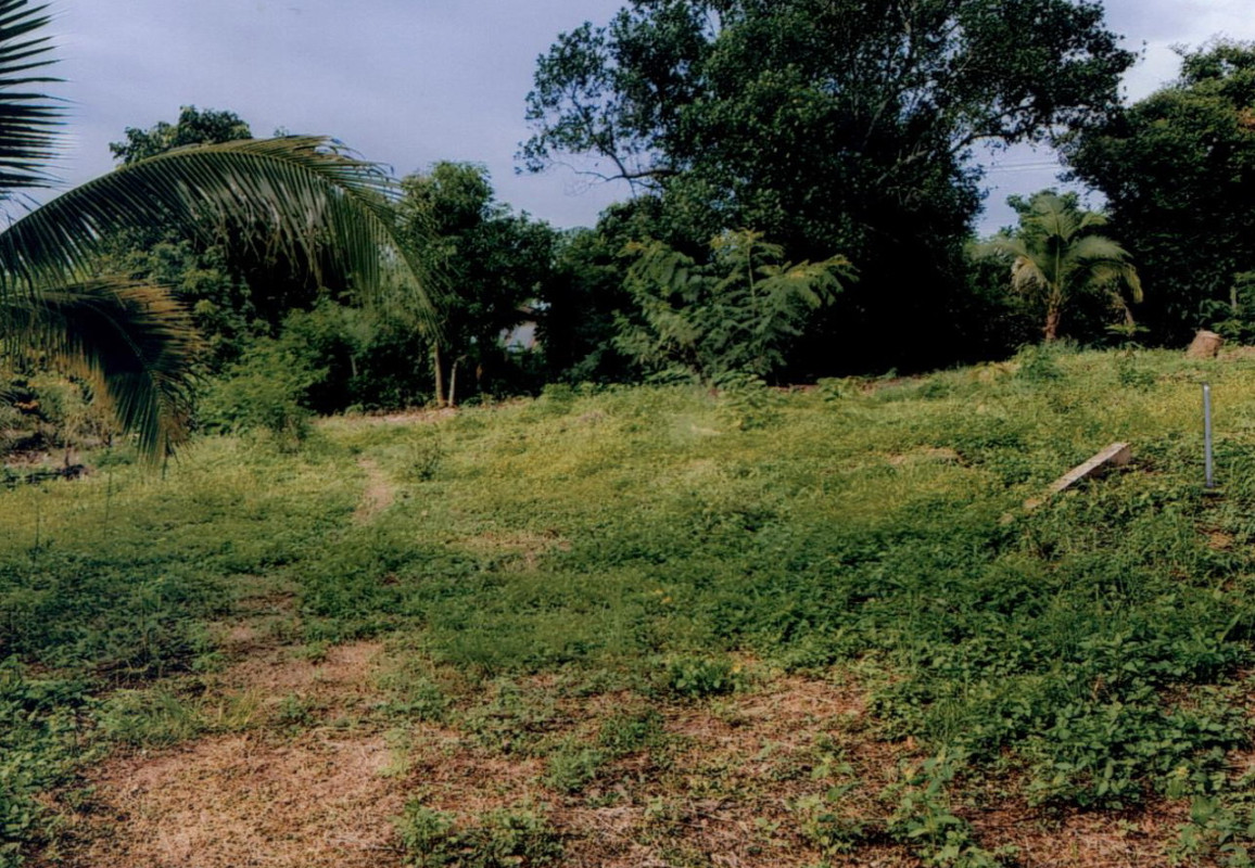 ที่ดินเปล่า เชียงใหม่ แม่อาย แม่นาวาง 52500