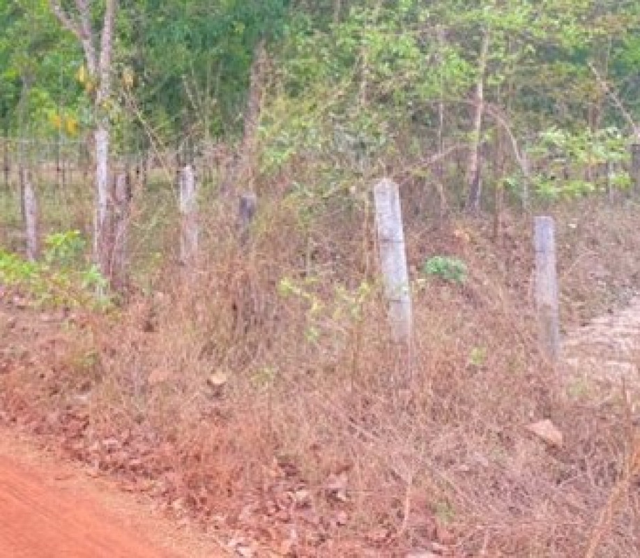 ที่ดินเปล่า นครพนม เรณูนคร โคกหินแฮ่ 973600