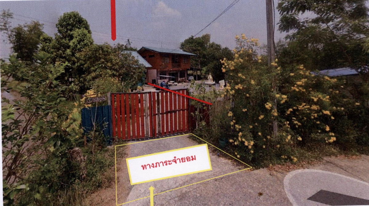 ที่ดินเปล่า พระนครศรีอยุธยา ภาชี โคกม่วง 641990