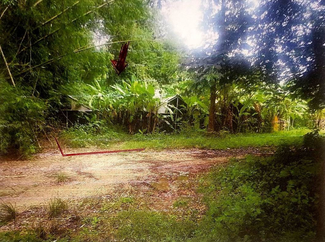 Residential land/lot Khon Kaen Mueang Khon Kaen Ban Thum 194000