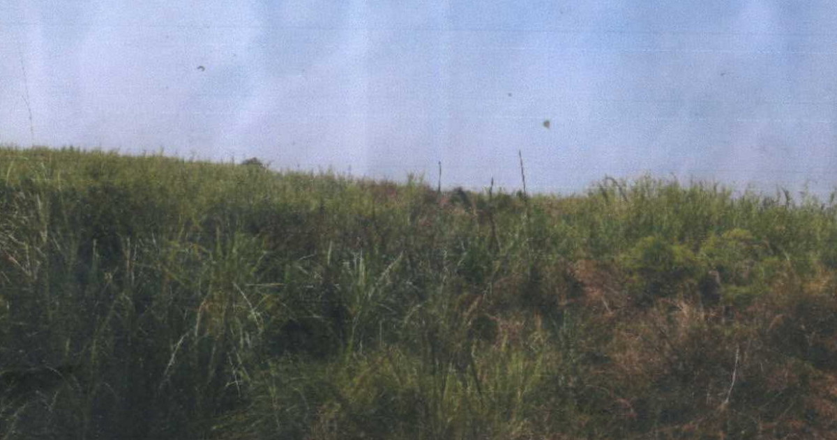 ที่ดินเปล่า สระแก้ว วัฒนานคร ผักขะ 100000