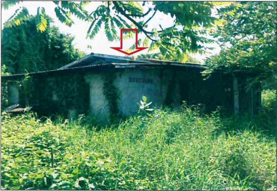 บ้านเดี่ยว หนองบัวลำภู เมืองหนองบัวลำภู ลำภู 310000