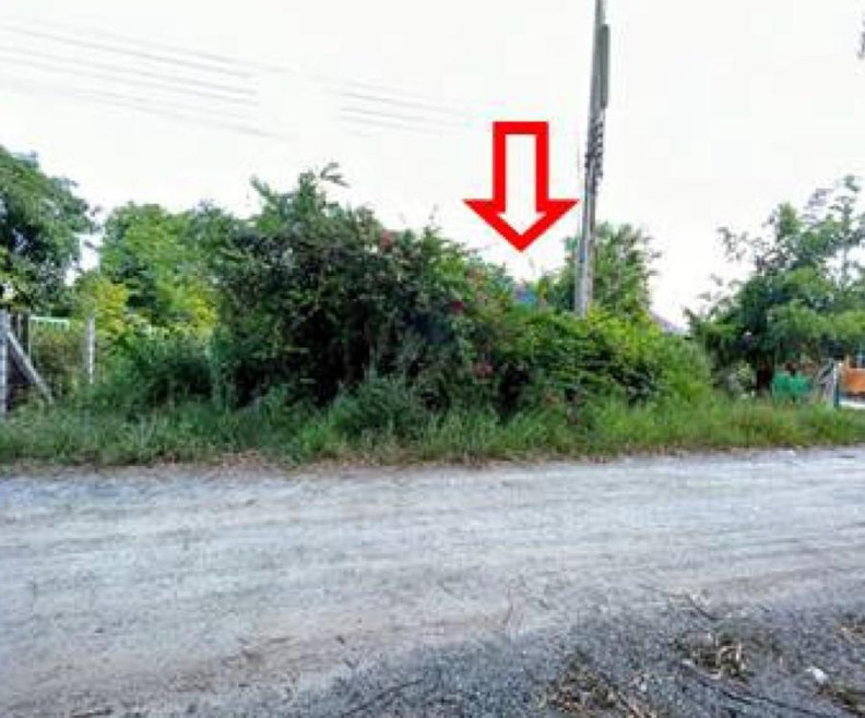 บ้านเดี่ยว ชลบุรี พานทอง หนองหงษ์ 1770000