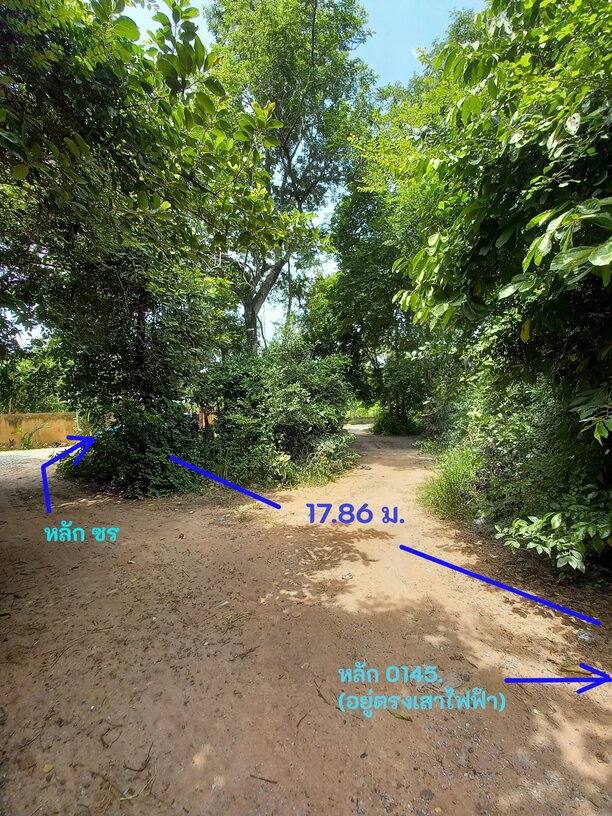 ที่ดินเปล่า นครราชสีมา เมืองนครราชสีมา หัวทะเล 1200000