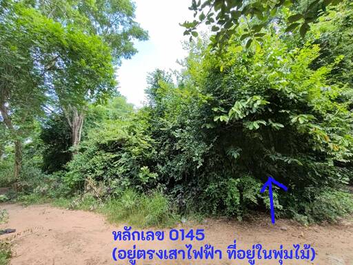 ที่ดินเปล่า นครราชสีมา เมืองนครราชสีมา หัวทะเล 1200000