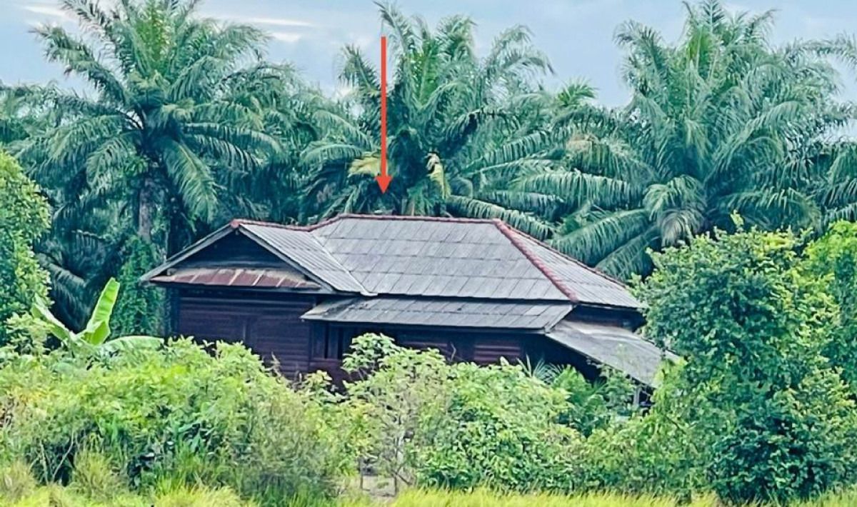 บ้านเดี่ยว สุราษฎร์ธานี ท่าฉาง คลองไทร 997528