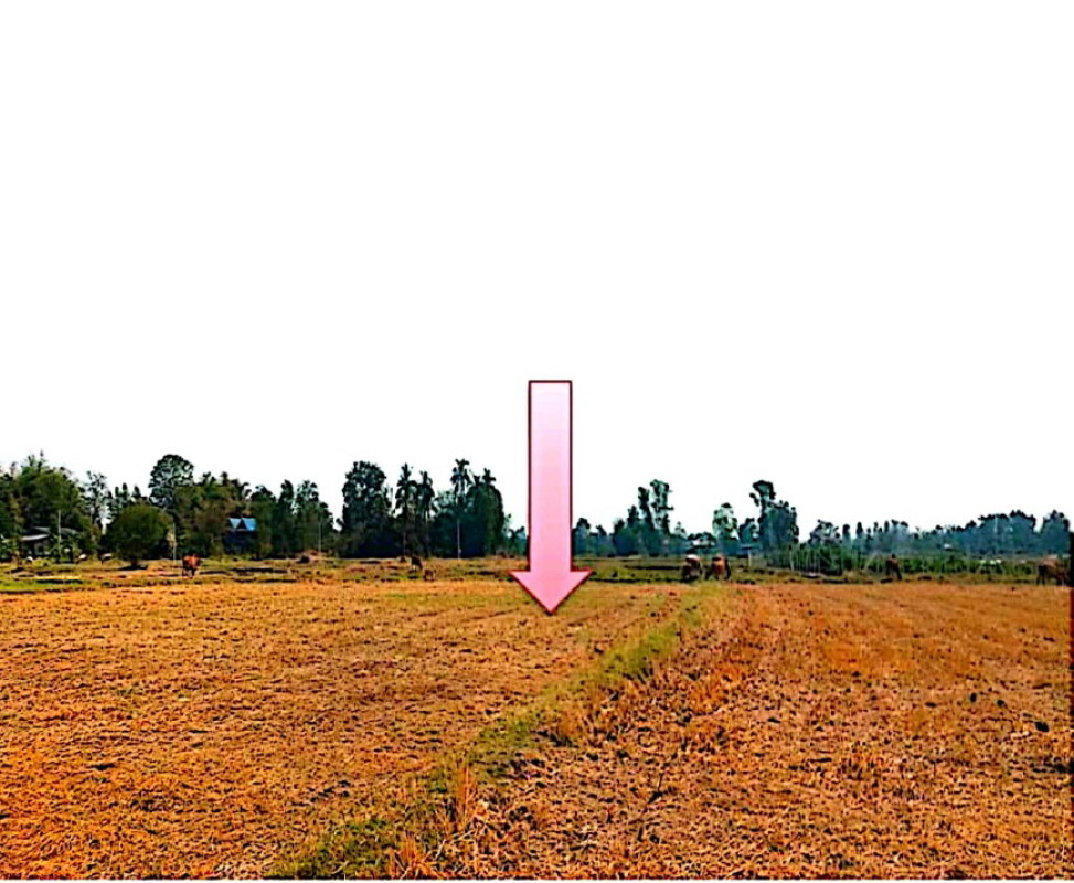 Residential land/lot Ratchaburi Photharam Chamrae 403700