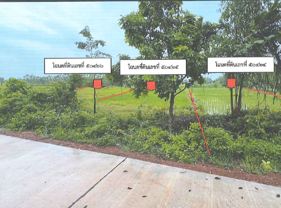 Residential land/lot Sakon Nakhon Phanna Nikhom Bahi 87640