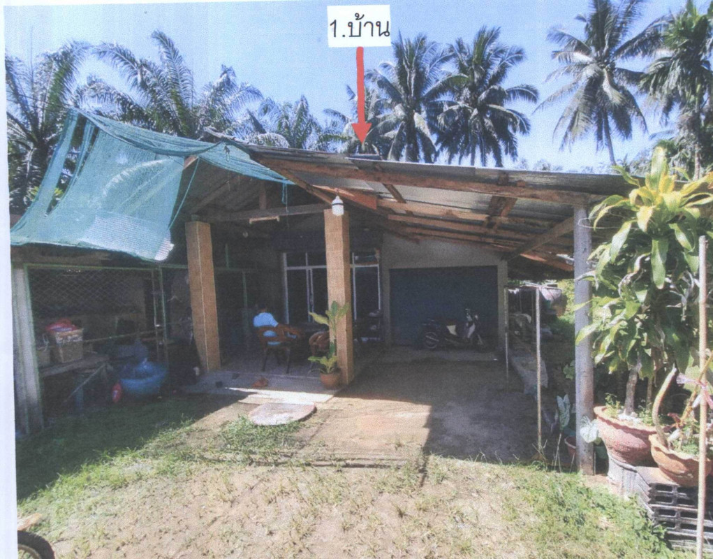 Single house Surat Thani Phrasaeng Sin Charoen 2055475