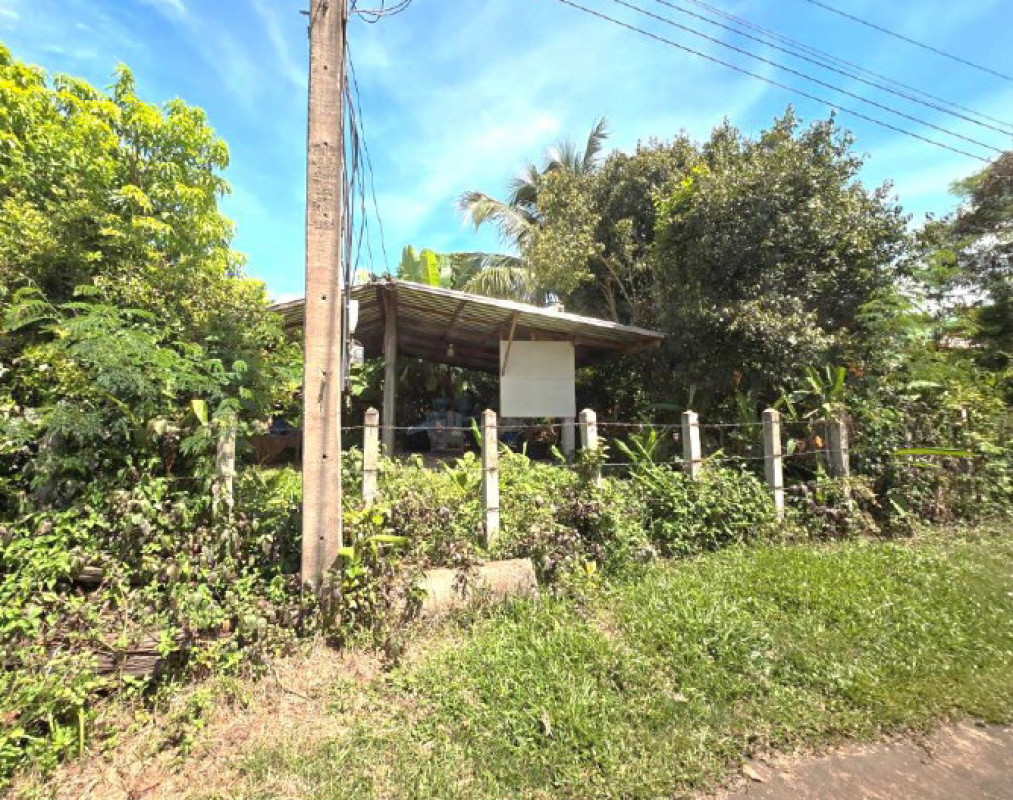 บ้านเดี่ยว สกลนคร โคกศรีสุพรรณ ตองโขบ 62620