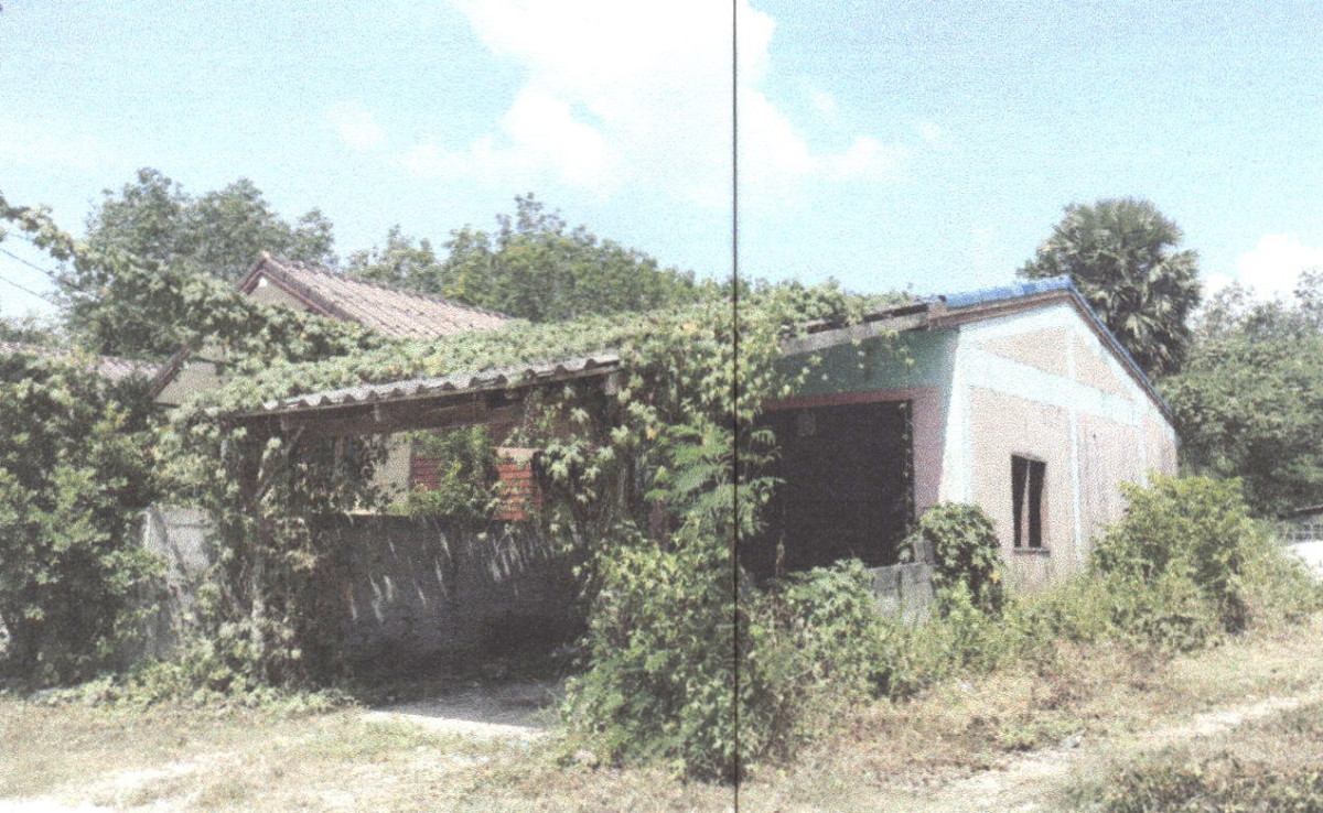 ทาวน์เฮ้าส์ พัทลุง ตะโหมด แม่ขรี 433790